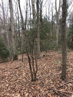 Lots 10, 11, 12 Country Glen Lane