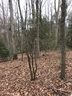 Lots 10, 11, 12 Country Glen Lane sold home in Pelzer, SC
