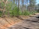 107 Woodmere Court sold home in Pickens, SC