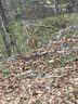 Lot 4 Saluda Road sold home in Williamston, SC