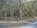 Lots Calhoun Hills sold home in Anderson, SC