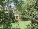 250 Elm Street 123 (A203) sold home in Clemson, SC