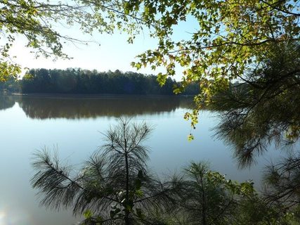 102 Willowbend Drive