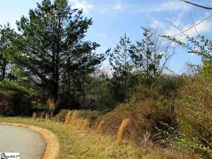 121 Hunt Cliff Court sold home in Hawthorne Ridge, Easley, SC