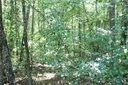 1426 Hunters Trail sold home in Anderson, SC