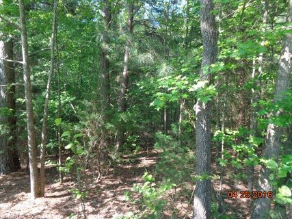 1211 Loualgia sold home in Vandale Place, Anderson, SC
