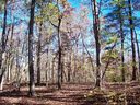 211 Serenity Drive sold home in Pickens, SC