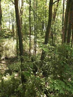 Lot 18 Brookvale Drive