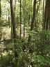 Lot 18 Brookvale Drive sold home in Williamston, SC