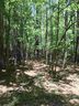 Lot 21 A Brookvale Drive sold home in Williamston, SC