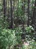 Lot 29 Pt 28 Brookvale Drive sold home in Williamston, SC