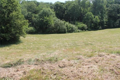 228 Dandelion Trail