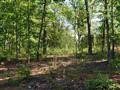 389/391 Gibson Road sold home in Anderson, SC