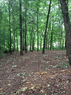 Lot 48 Pointe Harbor
