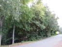 111 Canterbury Road sold home in Pendleton, SC