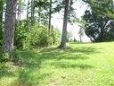 204 Golden Willow Court sold home in Easley, SC