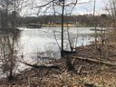 209 Lakefront Road sold home in Townville, SC