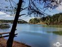 Lot 11 Hickory Cove 323 Horseman Drive sold home in Seneca, SC