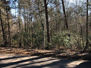 121 Mill Pond Road sold home in Lukes Crossing, Powdersville, SC