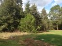 102 Crepe Myrtle sold home in Anderson, SC
