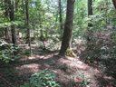 130 Hambys Way sold home in Pickens, SC