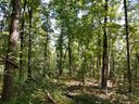 608 Scharlin Drive sold home in Pickens, SC