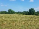 2408 Watkins Road sold home in Anderson, SC