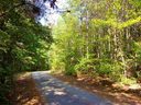 00 The Bear Boulevard sold home in Tamassee, SC