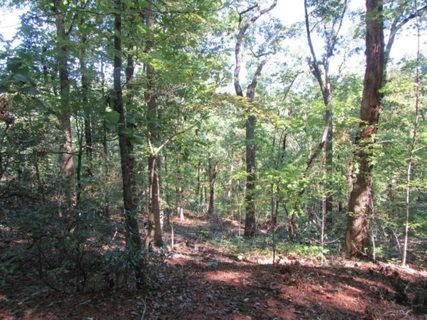 Tract 23 Old Chapman Trail sold home in Falcons View, Pickens, SC