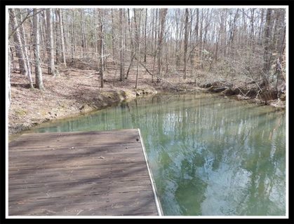 Lot 113 & 114 Rochester Highway