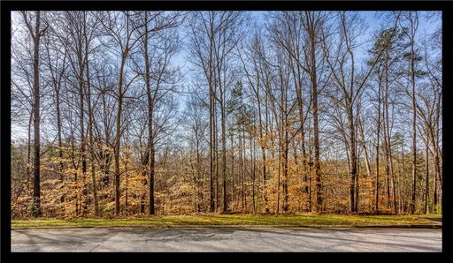 00 Willow Wood Court Court