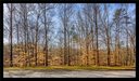 00 Willow Wood Court Court sold home in Seneca, SC