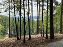 0 Sue Craig Road Lot 7 sold home in Six Mile, SC