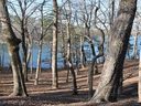 0 Sue Craig Road Lots 1 & 10 sold home in Six Mile, SC