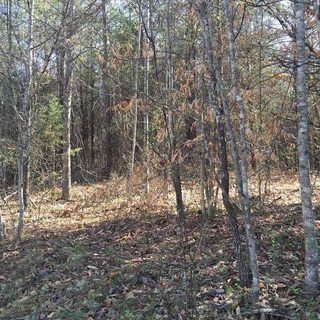 710 Saddle Creek Lane sold home in Burnsmill, West Union, SC