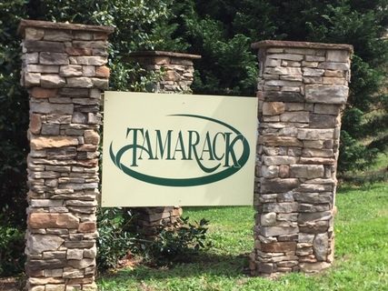 245 Tamarack Drive