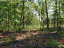 9 Fisher Jenkins Road sold home in Anderson, SC