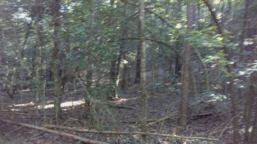 000 Lots 10 & 11 Lake Becky Interior No Lake Access Road sold home in Mountain Lakes, Mountain Rest, SC