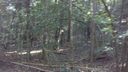 000 Lots 10 & 11 Lake Becky Interior No Lake Access Road sold home in Mountain Rest, SC