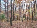 802 Scharlin Drive sold home in Pickens, SC