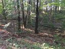 13025 Danube Circle sold home in Seneca, SC