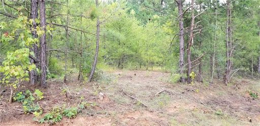 Lots 64,65 Galloping Ghost Road sold home in Lakefront, Anderson, SC