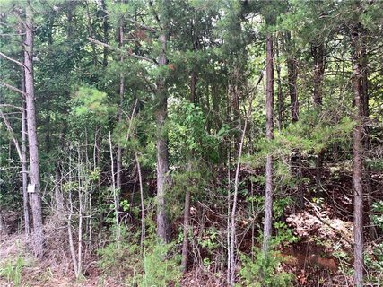 00 Martin Creek Road sold land listing in Heritage Oaks, Seneca, SC