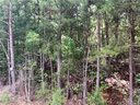 00 Martin Creek Road sold home in Seneca, SC