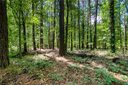 00 Kingsboro Road sold home in Anderson, SC