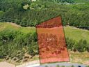 105 Coveside Lane sold home in Six Mile, SC