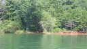10 Osceola Trail sold home in Fair Play, SC