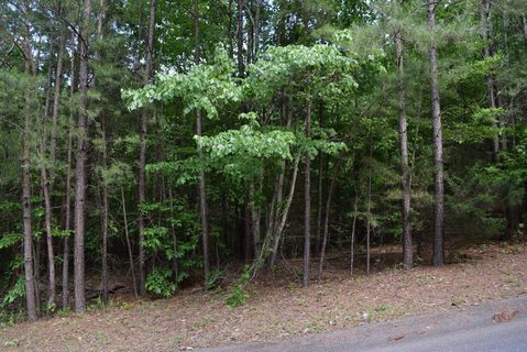 207 Long View Lane