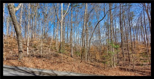 00 Glen Road sold home in The Glen At Stonehaven, Seneca, SC