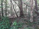 121 Willys Creek Circle sold home in Pickens, SC